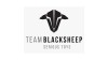 TBS (Team BlackSheep)